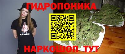 стафф Гусев