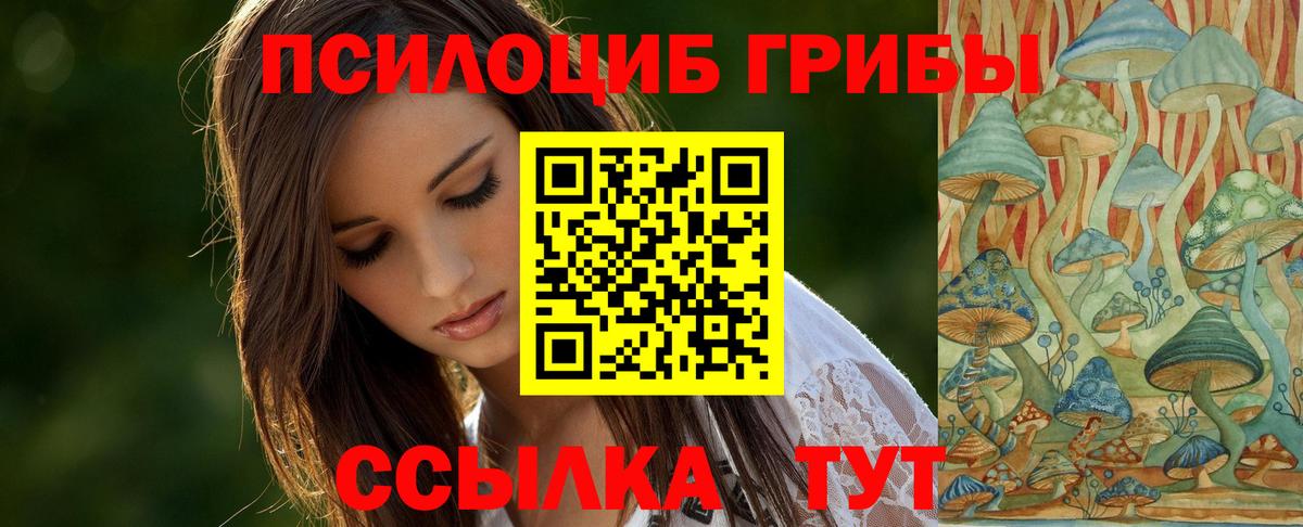 Псилоцибиновые грибы Psilocybine cubensis Моздок